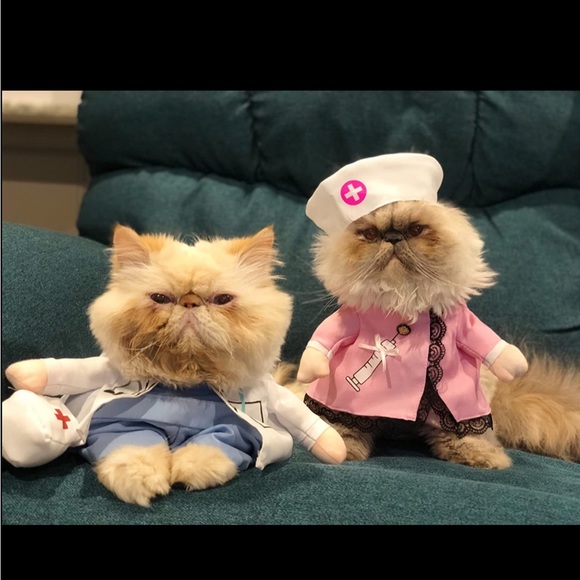 Other - Pink Nurse Pet Costume